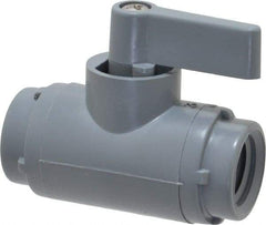 Specialty Mfr - 1/4" Pipe, PVC Standard Ball Valve - Inline - Two Way Flow, FNPT x FNPT Ends, Wedge Handle, 125 WOG - Industrial Tool & Supply