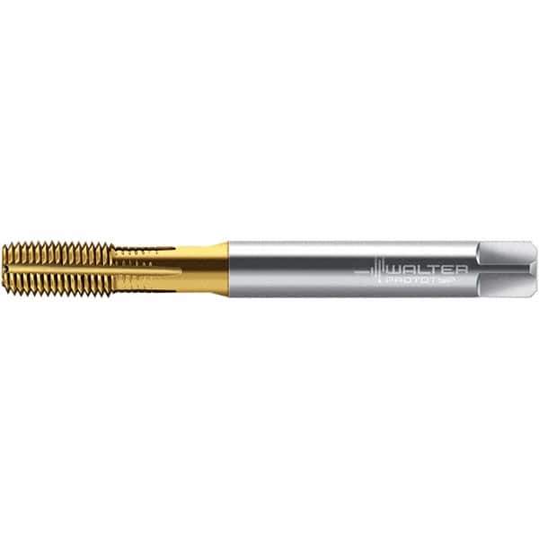 Walter-Prototyp - M6x1.00 DIN 2174 6HX 5.590 Thread Limit Semi-Bottoming Thread Forming Tap - Powdered Metal High Speed Steel, TiN Finish, 80mm OAL, 10mm Thread Length, Right Hand Thread, Series TC420 - Industrial Tool & Supply