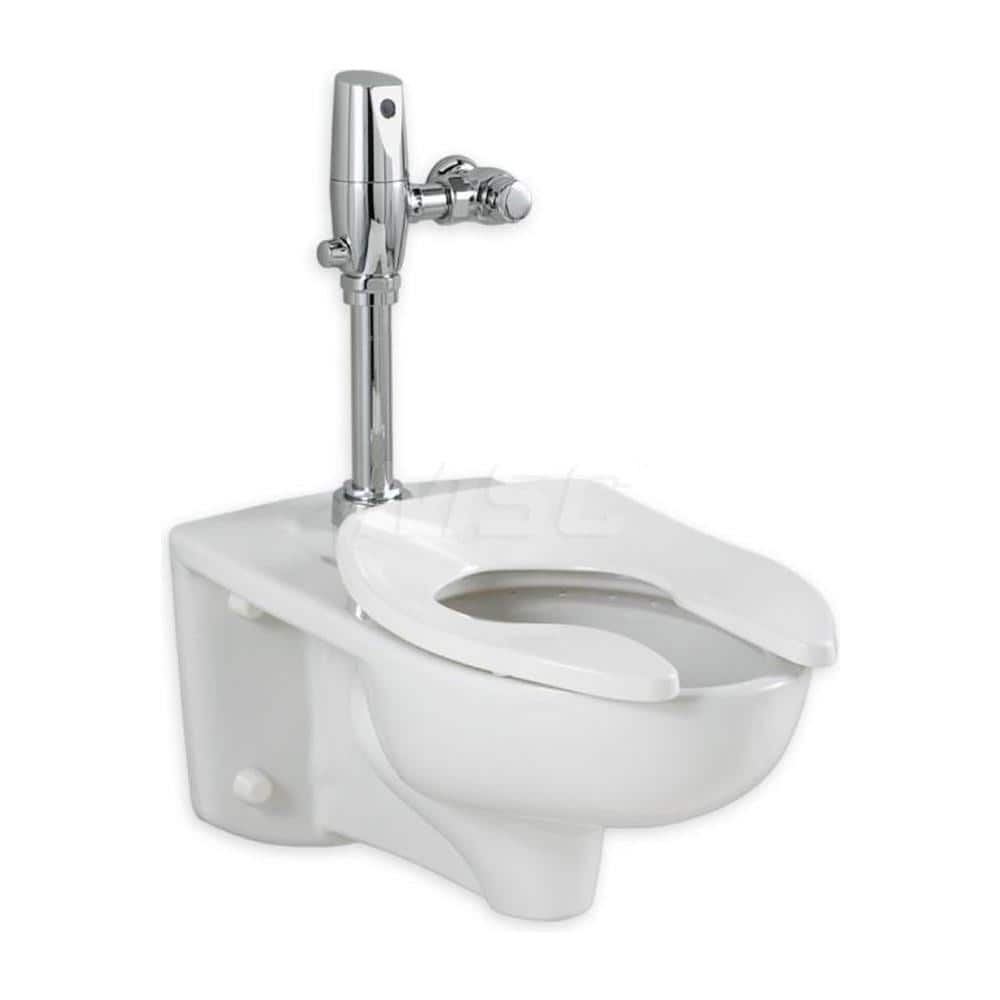 Toilets; Type: Dual Flush Toilet with Selectronic Exposed Battery Flush Valve; Bowl Shape: Elongated; Mounting Style: Wall; Gallons Per Flush: 1.6; Overall Height: 29-5/8; Overall Width: 14; Overall Depth: 26; Rim Height: 15; Trapway Size: 2-1/8; Rough In