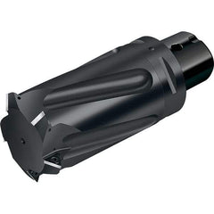 Walter - Indexable Thread Mills Cutting Diameter (mm): 73.00 Cutting Diameter (Decimal Inch): 2.8740 - Industrial Tool & Supply