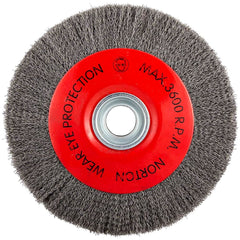Norton - 10" OD, 3/4" Arbor Hole, Crimped Carbon Wheel Brush - Industrial Tool & Supply