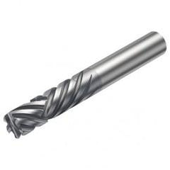 2P460-1270-NA 1630 12.7mm 6 FL Straight Center Cut w/Cylindrical Shank - Industrial Tool & Supply