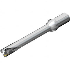 Sandvik Coromant - Indexable Insert Drills Drill Style: DS20 Drill Diameter (mm): 33.00 - Industrial Tool & Supply
