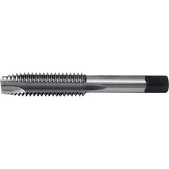 Cle-Line - Spiral Point Taps Thread Size (Inch): 5/8-11 Number of Flutes: 3 - Industrial Tool & Supply