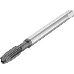 Seco - Spiral Point Taps Thread Size (mm): MF12x1 Number of Flutes: 4 - Industrial Tool & Supply