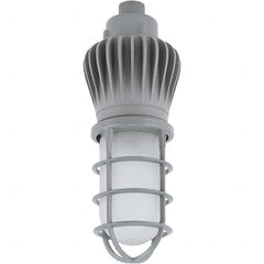 Hubbell Lighting - Hazardous Location Light Fixtures Resistance Features: Vaporproof Recommended Environment: Indoor; Outdoor - Industrial Tool & Supply
