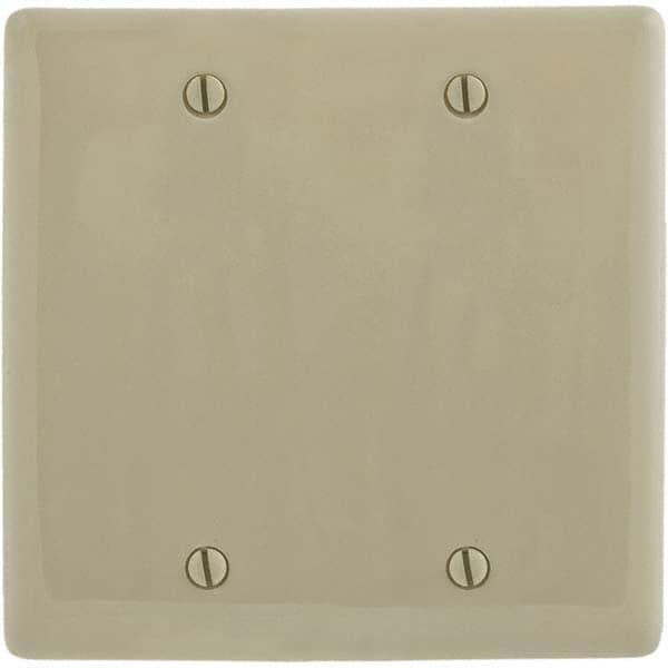Wall Plates; Wall Plate Type: Blank Wall Plate; Color: Ivory; Wall Plate Configuration: Blank; Material: Thermoplastic; Shape: Rectangle; Wall Plate Size: Standard; Number of Gangs: 2; Overall Length (Inch): 4.6300; Overall Width (Decimal Inch): 4.6900; S