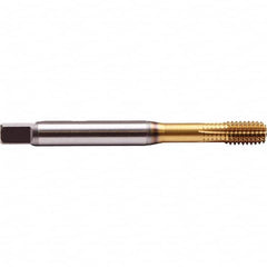 Emuge - M6x1.00 Metric 6HX Bottoming Thread Forming Tap - Industrial Tool & Supply