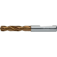 Walter-Titex - Screw Machine Length Drill Bits Drill Bit Size (Decimal Inch): 0.1181 Drill Bit Size (mm): 3.00 - Industrial Tool & Supply