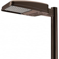 Hubbell Lighting - Parking Lot & Roadway Lights Fixture Type: Area Light Lamp Type: LED - Industrial Tool & Supply