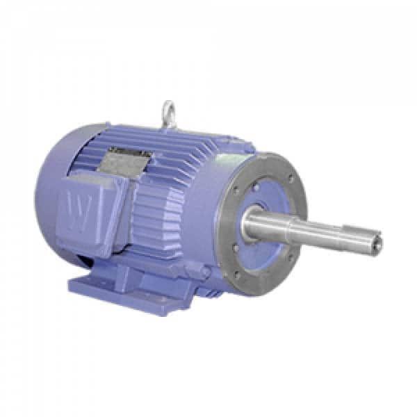 Worldwide Electric - Electric AC/DC Motors Motor Type: Premium Efficient Type of Enclosure: TEFC - Industrial Tool & Supply