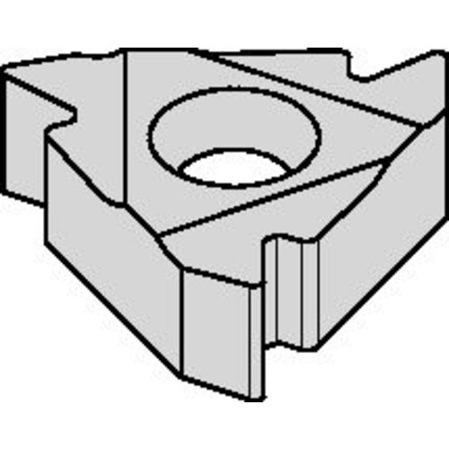 2ILA60 TN6025 Laydown Threading Insert - Industrial Tool & Supply