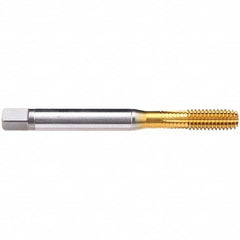 Emuge - 1/2-13 UNC 2B Modified Bottoming Thread Forming Tap - Industrial Tool & Supply