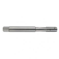 M5 x 0.8 Dia. - 6H - 4 FL - Carbide Semi-Bott Tap - Bright Finish-Coolant-Thru-FORM-C - Industrial Tool & Supply