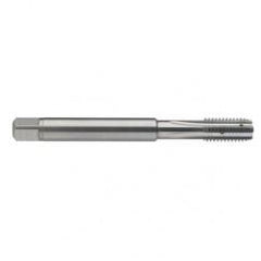 M10 x 1.5 Dia. - 6H - 4 FL - Carbide Semi-Bott Tap - Bright Finish-Coolant-Thru-FORM-C - Industrial Tool & Supply