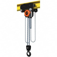 CM - 11,023 Lb Capacity, 10' Lift Height, Manual Chain Hoist - Industrial Tool & Supply