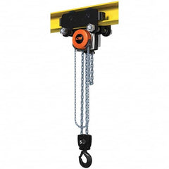 CM - 11,023 Lb Capacity, 30' Lift Height, Manual Chain Hoist - Industrial Tool & Supply