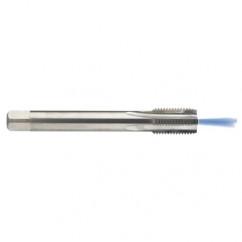 M12 x 1.75 Dia. - 6H - 4 FL - Carbide Semi-Bott Tap - Bright Finish-Coolant-Thru-FORM-C - Industrial Tool & Supply