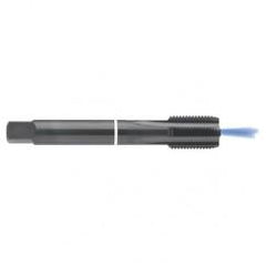 M12 x 1.75 Dia. - 6H - 4 FLX - Cobalt Semi-Bott White Ring Tap - Blk-Ox-Coolant-FORM-C - Industrial Tool & Supply