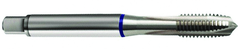 3/8-16 Dia. - 2B - 4 FL - Cobalt Semi-Bott White Ring Tap - Blk-Ox FORM-C DIN 371 - Industrial Tool & Supply