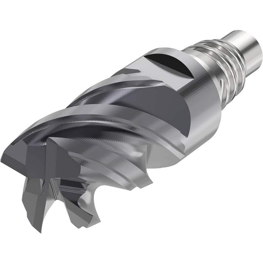 Corner Radius & Corner Chamfer End Mill Heads; Mill Diameter (mm): 10.00; Chamfer Width (mm): 0.130; Chamfer Angle: 45.000; Length of Cut (mm): 12.0000; Connection Type: E10; Overall Length (mm): 29.9000; Centercutting: Yes; Flute Type: Helical; Series: X