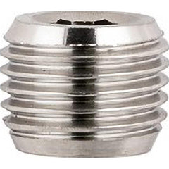 Aignep USA - Stainless Steel Pipe Fittings; Type: Male Plug ; Fitting Size: 3/8 ; End Connections: BSPT ; Material Grade: 316L Stainless Steel ; Pressure Rating (psi): 290 - Exact Industrial Supply