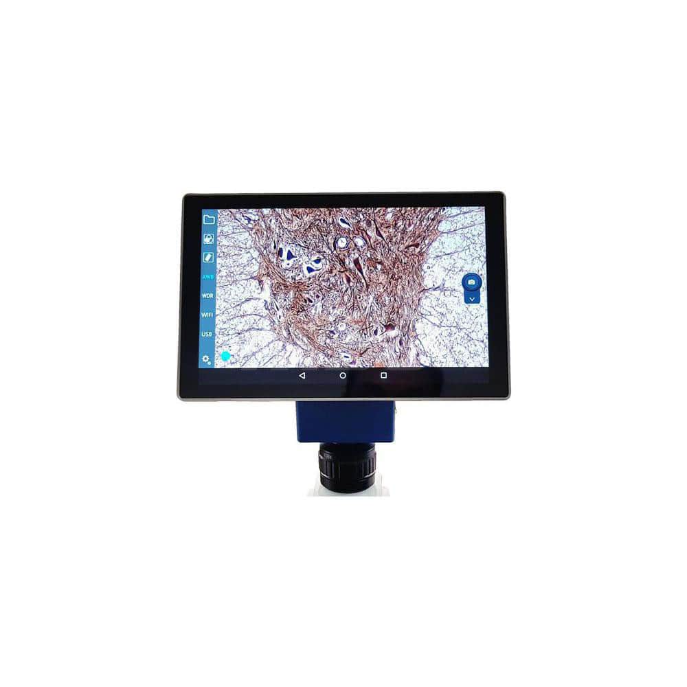 Microscopes; Microscope Type: Digital; Eyepiece Type: Digital; Focus Type: Fixed; Image Direction: Inverted; Eyepiece Magnification: 10x