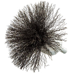 Norton - End Brushes Brush Diameter (Inch): 3 Fill Material: Carbon Steel - Industrial Tool & Supply
