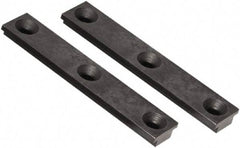 Raptor Workholding - 1 Piece Vise 1/16" Parallel Master Jaw Insert - Steel, 7/8" Long, 0.308" High - Industrial Tool & Supply