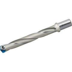 Walter - 13mm Diam, 7xD, 93mm Max Depth, 20mm Shank Diam, 174mm OAL, Replaceable Tip Drill - P6001-D13..R, P6002-D13..R, P6003-D13..R, P6004-D13..R Insert, B 4017 Toolholder, Series Xtra-tec - Industrial Tool & Supply