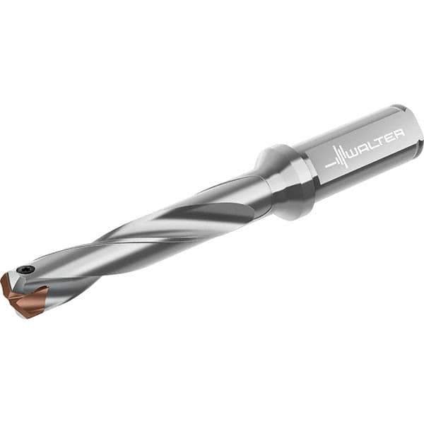 Walter - 16 to 16.99mm Diam, 5xD, 113mm Max Depth, 20mm Shank Diam, 166mm OAL, Replaceable Tip Drill - P6001-D16..R, P6003-D16..R, P6004-D16..R, P6005-D16..R Insert, D4140 Toolholder, Series D4140 - Industrial Tool & Supply