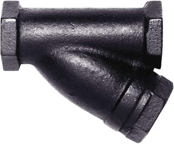 Hoffman Speciality - 1" Pipe, Female NPT Ends, Cast Iron Y-Strainer - 250 psi Pressure Rating, 400 psi WOG Rating, 250 psi WSP Rating - Industrial Tool & Supply
