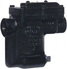 Hoffman Speciality - 2 Port, 1/2" Pipe, Stainless Steel Inverted Bucket Steam Trap - 125 Max psi - Industrial Tool & Supply