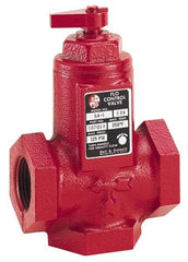 Bell & Gossett - 3/4" Pipe, Cast Iron Manually Operated Plumbing Valve - Buna Seal, FNPT - Industrial Tool & Supply