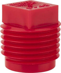 Caplugs - Square Head Plug - 1/2" OD, Polyethylene, Red - Industrial Tool & Supply