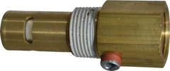 Conrader - 3/4 x 3/4" Brass Check Valve - In-Tank, FNPT x MNPT - Industrial Tool & Supply