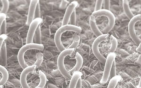 3M - Sanding Block Holder - 6.95" Wide x 13" Long - Industrial Tool & Supply