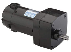 Leeson - 1/15 Max hp, 142 Max RPM, Electric AC DC Motor - 115 V Input, Single Phase, 31 Frame - Industrial Tool & Supply