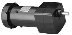 Leeson - 1/15 Max hp, 94 Max RPM, Electric AC DC Motor - 115 V Input, Single Phase, 31 Frame - Industrial Tool & Supply