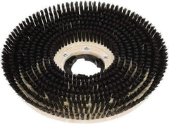 Clarke - 20" Diam Scrubbing Brush - 20" Machine, Black Pad, Polypropylene - Industrial Tool & Supply