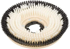Clarke - 17" Diam Carpet Brush - 17" Machine, Black Pad, Nylon - Industrial Tool & Supply