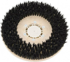 Clarke - 26" Diam Scrubbing Brush - 13" Machine, Black Pad, Polypropylene - Industrial Tool & Supply