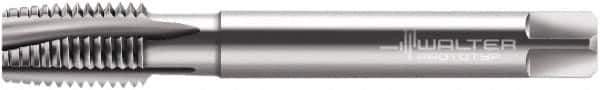Walter-Prototyp - M16x2.00 Metric, 4 Flute, Bright Finish, Powdered Metal Spiral Point Tap - Plug Chamfer, Right Hand Thread, 3-13/16" OAL, 28mm Thread Length, 12.19mm Shank Diam, 6HX Class of Fit, Series A2026760 - Exact Industrial Supply
