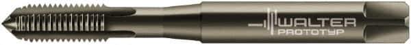 Walter-Prototyp - M10x1.50 Metric 6HX 4 Flute Nitride/Oxide Finish Powdered Metal Straight Flute Machine Tap - Modified Bottoming, Right Hand Thread, 100mm OAL, 20mm Thread Length, Oversize - Exact Industrial Supply