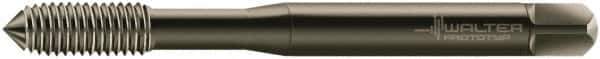 Walter-Prototyp - M2x0.40 Metric 6HX Modified Bottoming Thread Forming Tap - Cobalt, Oxide Finish, 45mm OAL, 6mm Thread Length, Right Hand Thread, Series D70611 - Exact Industrial Supply