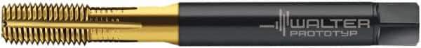 Walter-Prototyp - 1/4-20 UNC 2B Modified Bottoming Thread Forming Tap - Cobalt, TiN Finish, 80.01mm OAL, 15.01mm Thread Length, Right Hand Thread, Series ACP2261745 - Industrial Tool & Supply