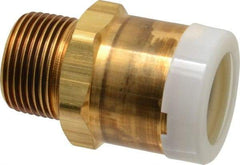 Watts - 1" Outside Diam, 1 NPT, Brass Push-to-Connect Tube Male Connector - Tube to Male NPT Connection, EPDM O-Ring - Industrial Tool & Supply
