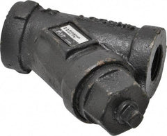 Legend Valve - 1/2" Pipe, FNPT Ends, Cast Iron Y-Strainer - 500 psi WOG Rating, 250 psi WSP Rating - Industrial Tool & Supply
