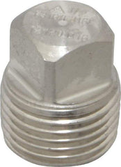 Merit Brass - 1/2" Grade 316/316L Stainless Steel Pipe Square Head Plug - MNPT End Connections, 3,000 psi - Industrial Tool & Supply
