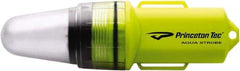 Princeton Tec - White LED Bulb, 100 Lumens, Industrial/Tactical Flashlight - Neon Yellow Plastic Body, 1 AA Alkaline Battery Included - Industrial Tool & Supply